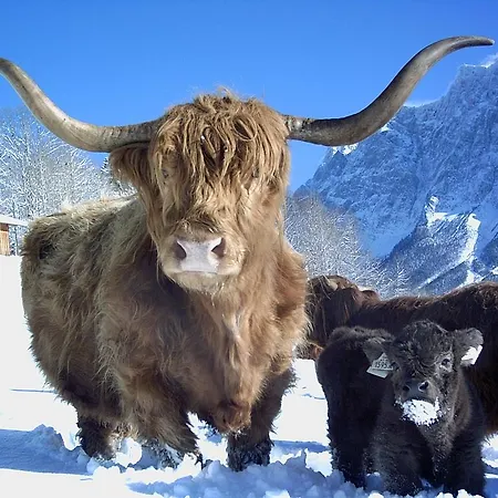 安宝公寓 莱尔莫斯