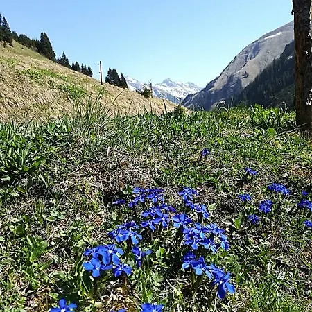 Ambrosius 아파트 *