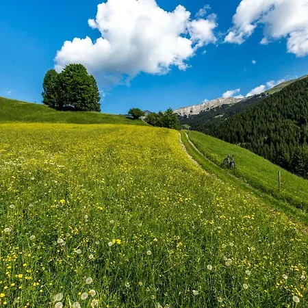 公寓 安宝公寓 莱尔莫斯