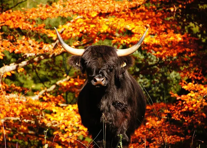 Ambrosius Appartamento