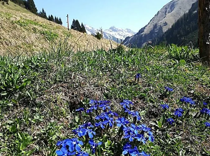 Ambrosius Apartment *